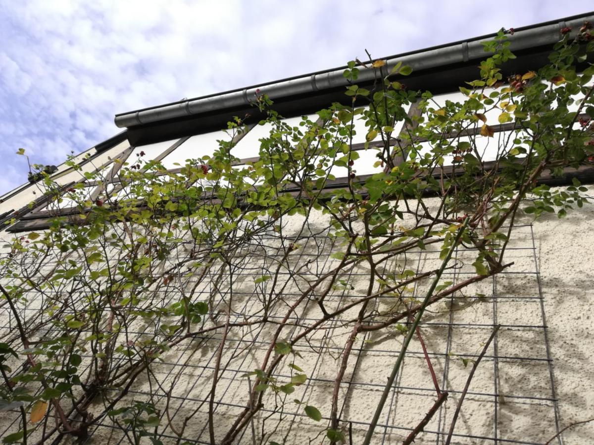 Praesenzhof Lay Apartment Exterior photo